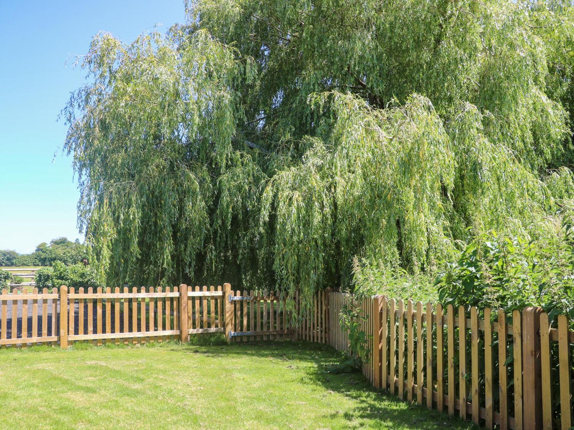 Willow Pod Arundel Buitenkant foto